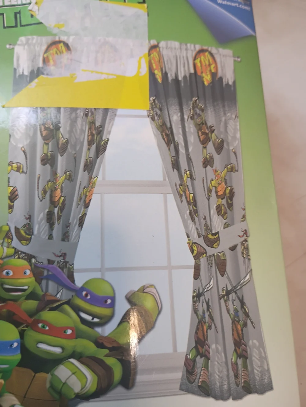 2016  Teenage Mutant Ninja Turtles 